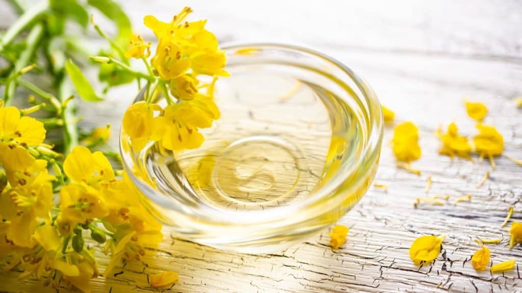 canola oil in a small glass bowl